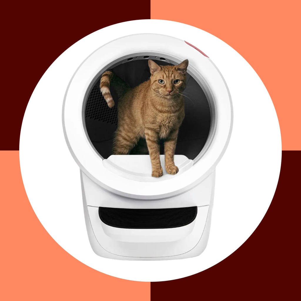 Is the Viral Litter-Bot Worth the Hype? My Cats Think So