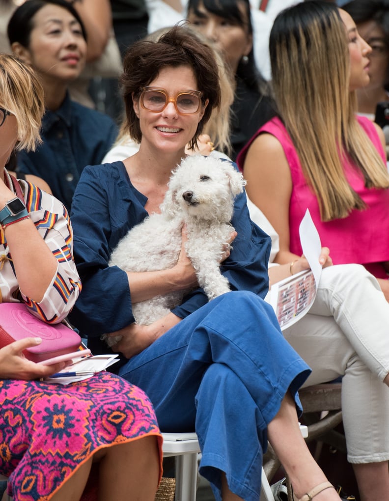 Parker Posey's Dog Attending the Rachel Comey Show