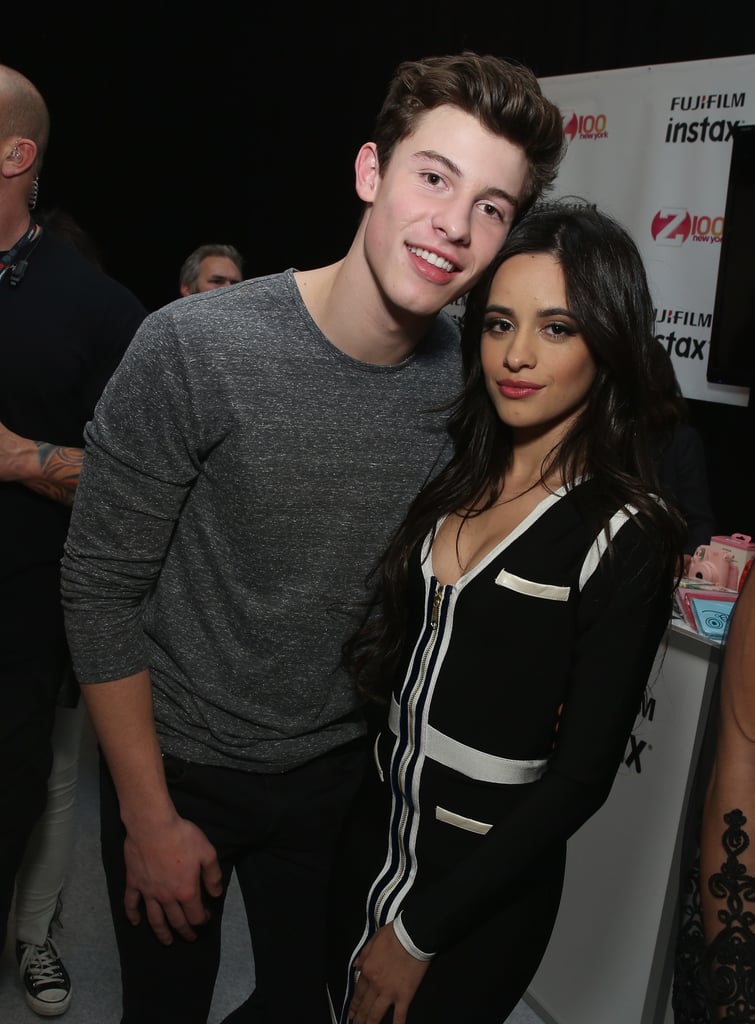 Camila Cabello and Shawn Mendes's Cutest Pictures