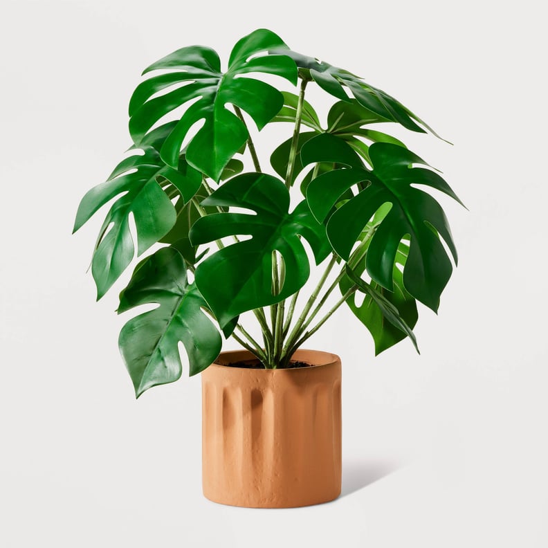 An Artificial Monstera Plant