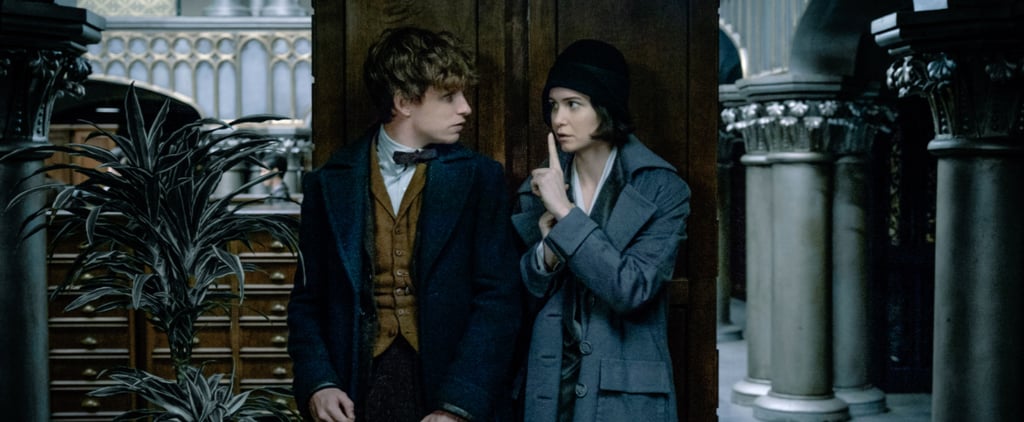 The Fantastic Beasts Sequel Has a Release Date