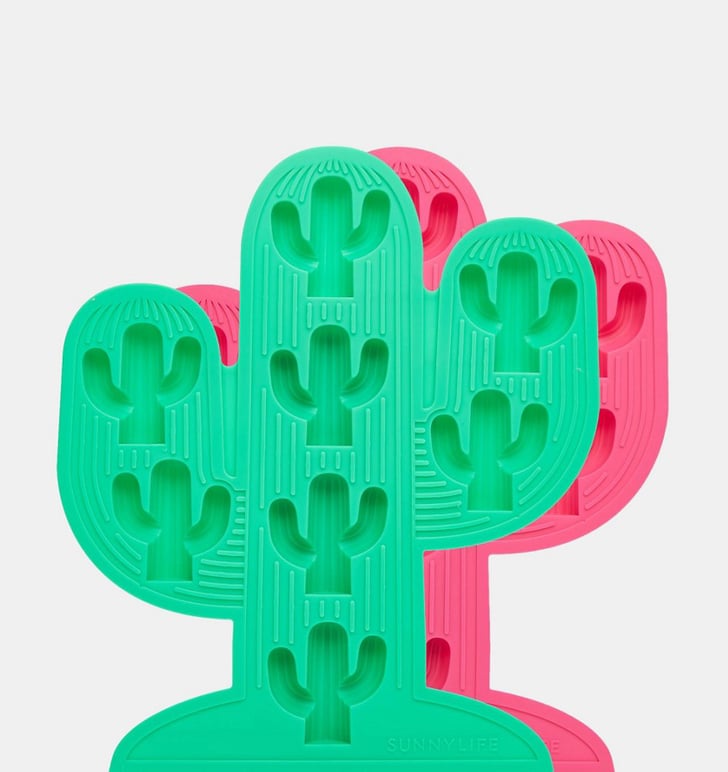 cactus floaties