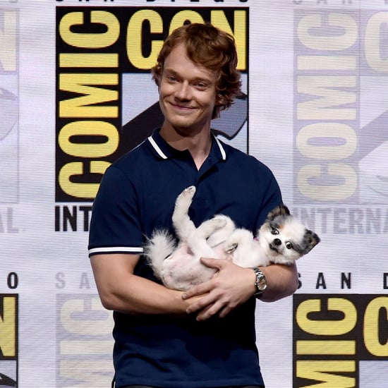 Alfie Allen Brings Dog to Comic-Con