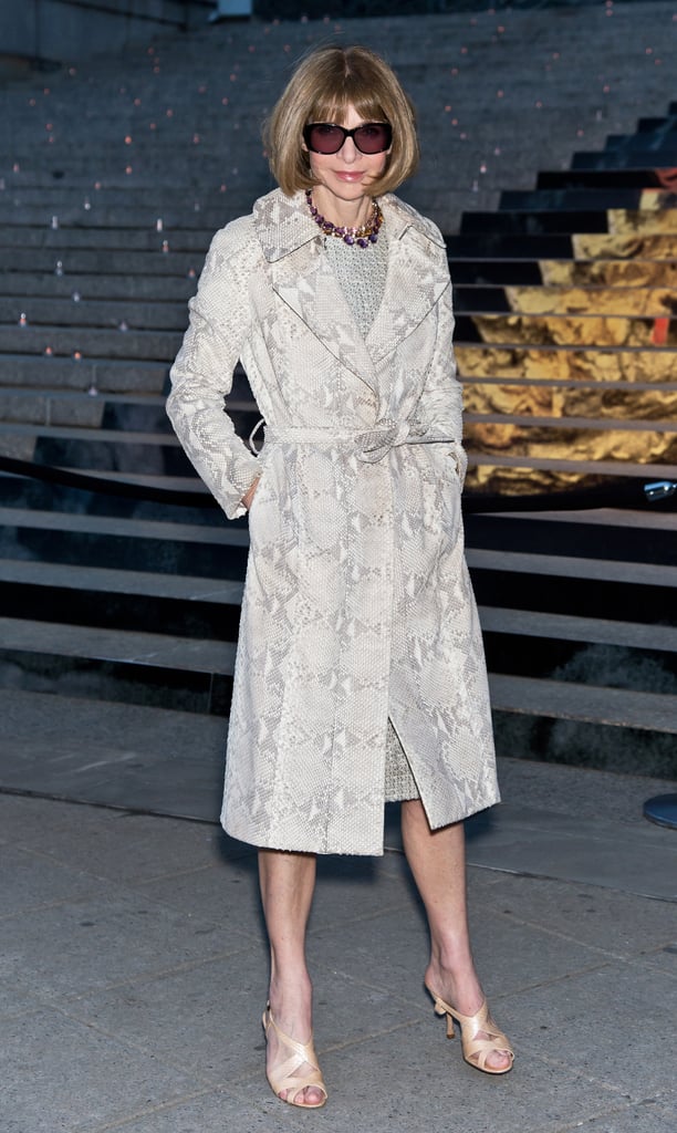 Anna Wintour looked glam at the Vanity Fair bash. | Celebrities at ...
