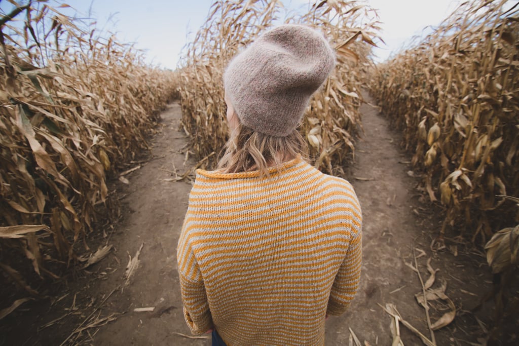 Get Lost in a Corn Maze