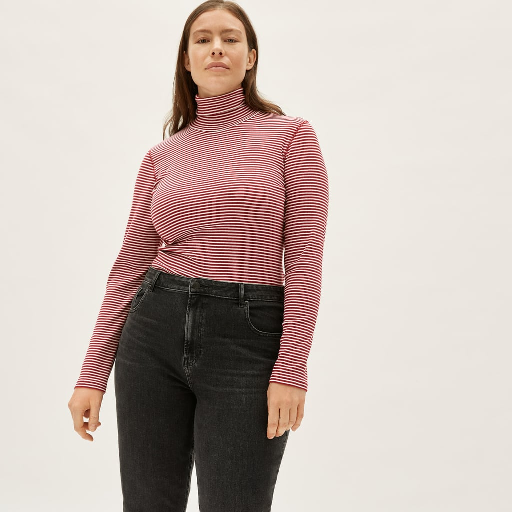 Everlane Pima Micro-Rib Turtleneck
