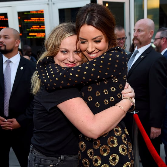 Parks and Recreation Reunion at Ingrid Goes West Premiere