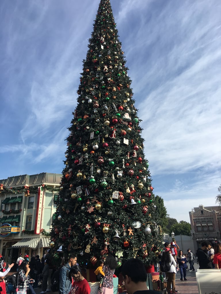 Somehow, going over Christmas helps justify the exorbitant cost.