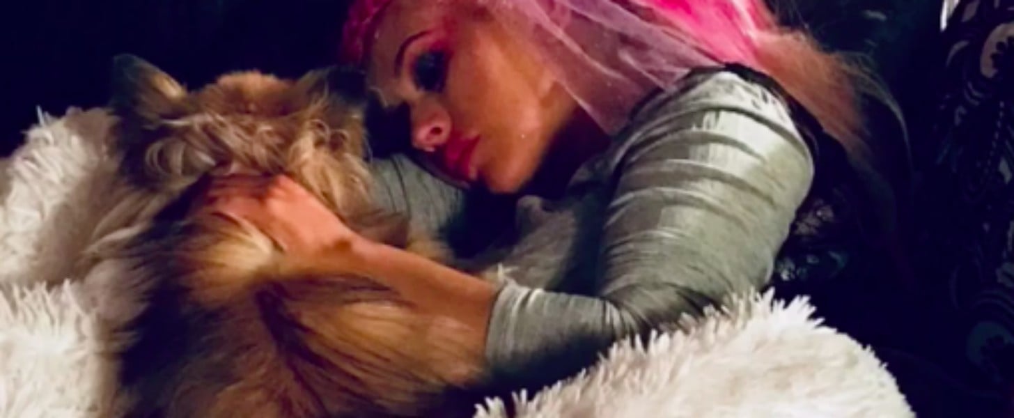 Christina Aguilera Dog Stinky Dies 2018 POPSUGAR Celebrity