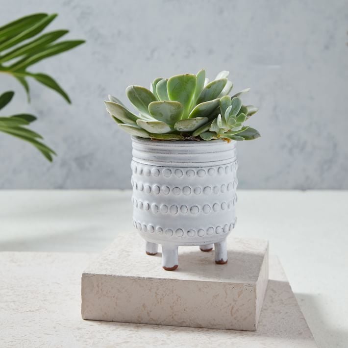 Cute Desk Planters POPSUGAR Smart Living