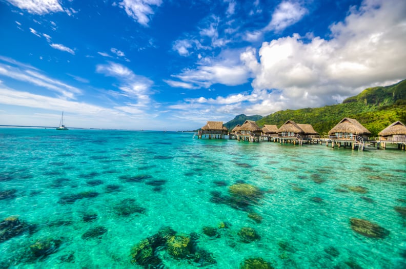 The Islands of Tahiti