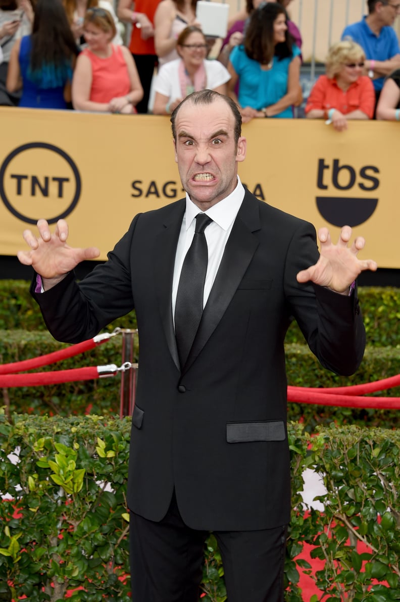 Rory McCann (Sandor "The Hound" Clegane)