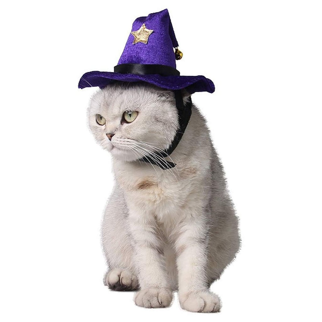 Wizard Hat For Cats