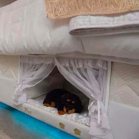 Mattress With Pet Bed