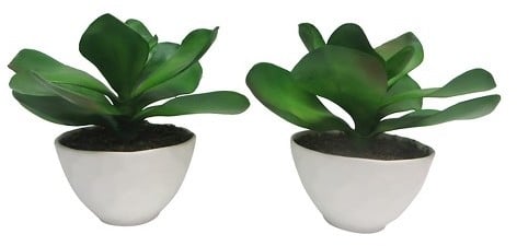 Faux Succulent in Pot Green ($20)