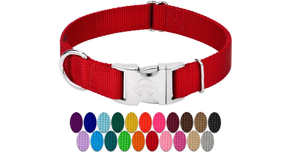 Country Brook Petz Premium Nylon Dog Collar with Metal Buckle