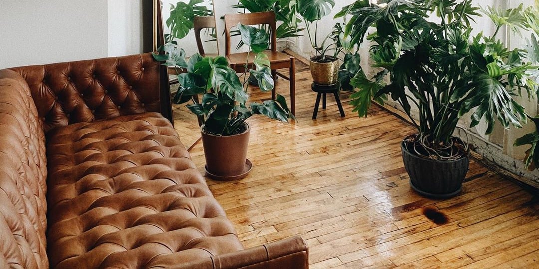 West Elm Couch Review POPSUGAR Home