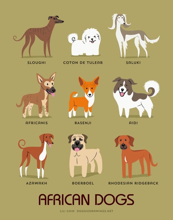 Dogs of the World Art Prints | POPSUGAR Pets