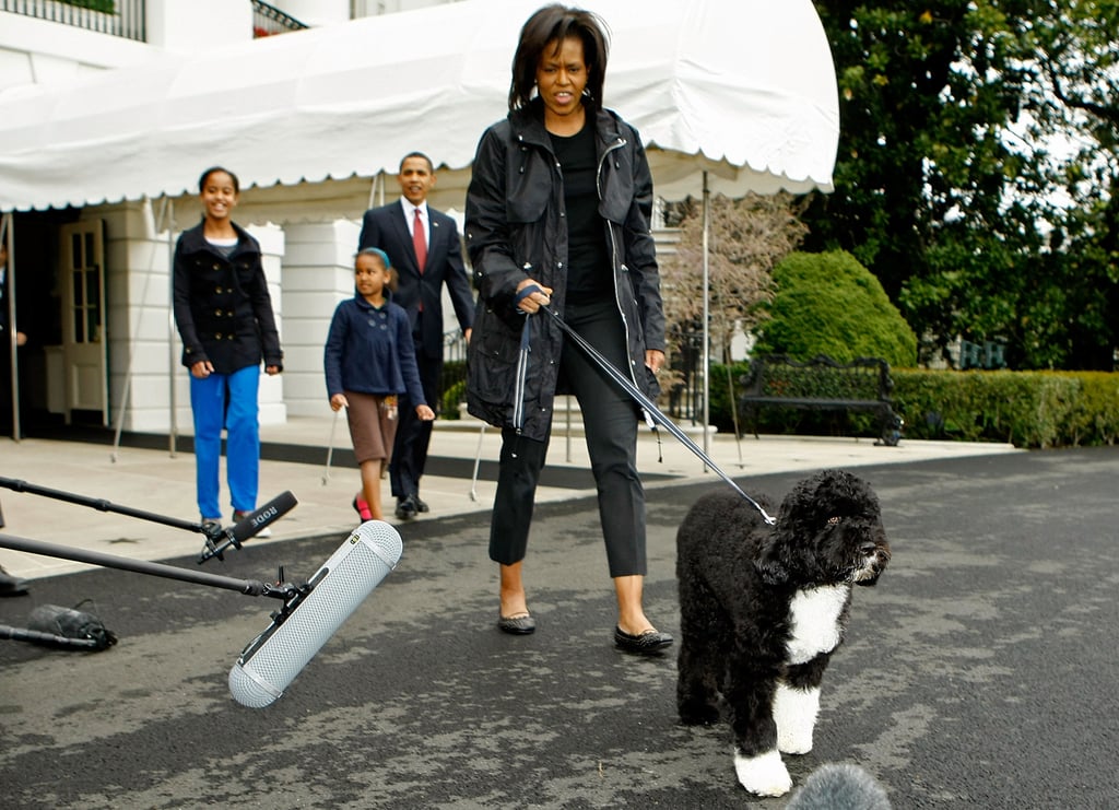 Ready for your close-up, Bo? He greeted the press for the first time in 2009 outside of the White House.