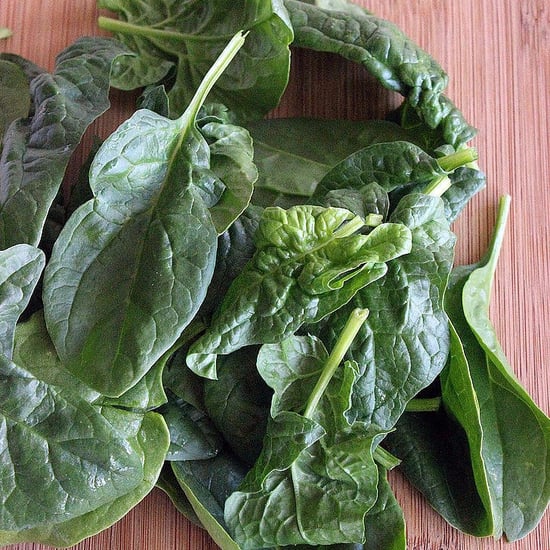 What Is Sorrel Spinach Dock?