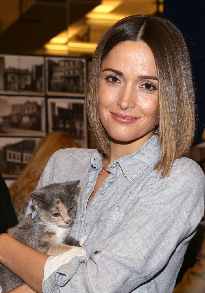Rose Byrne cuddled a kitten at a Monday event in NYC.