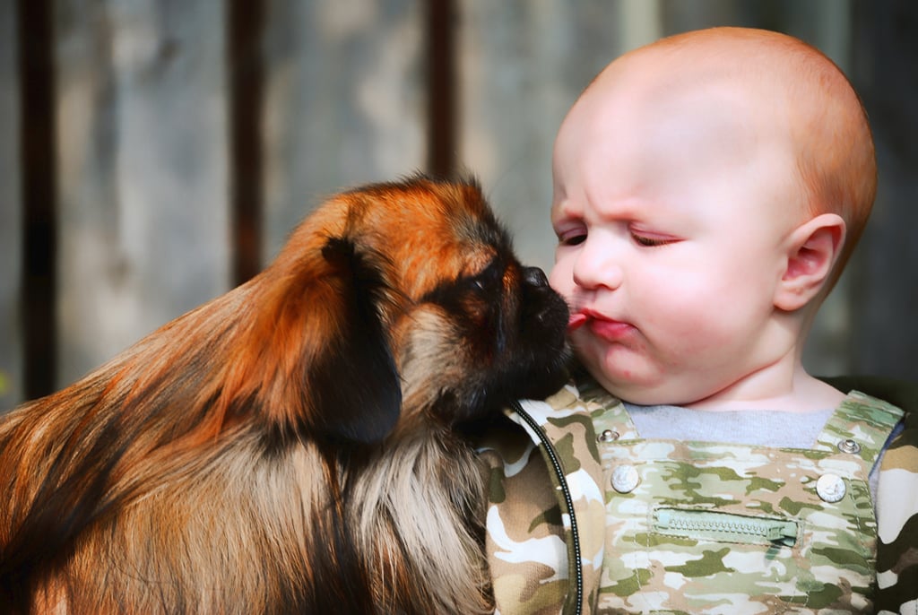 Videos of Babies and Dogs