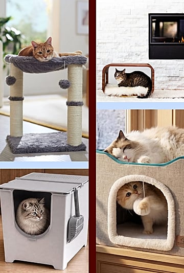 Best Gifts For Cat-Lovers, According to Three Cat Ladies