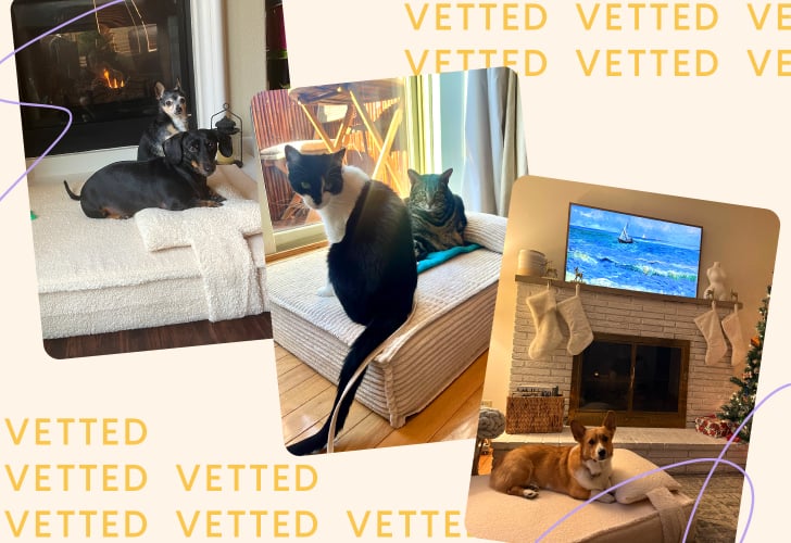 Buffy Orthopedic Pet Bed Review