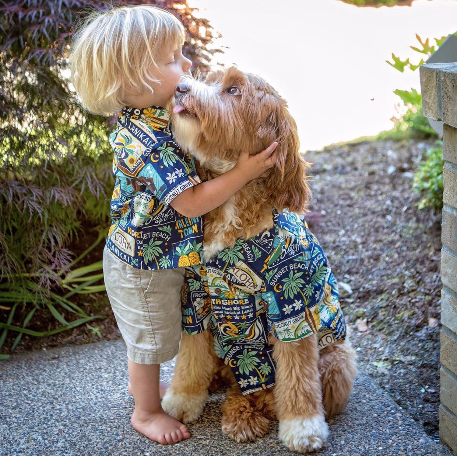 Matching dog and baby clothes top