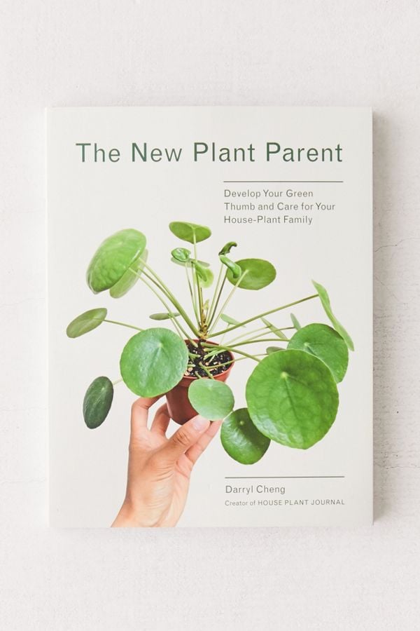 The New Plant Parent: Develop Your Green Thumb and Care For Your House