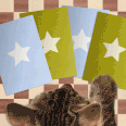 Attention Cat Lovers: There's a New Board Game Inspired By Your Favorite Thing (Your Cat)