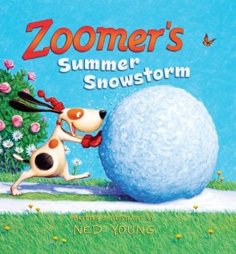 Zoomer's Summer Snowstorm