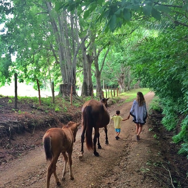 Gisele spent a day "having fun with my little guy." Look at little Benjamin guiding the horses!
Source: Instagram user giseleofficial