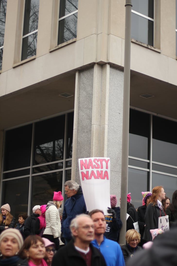 Best Signs From Women's March in Washington DC