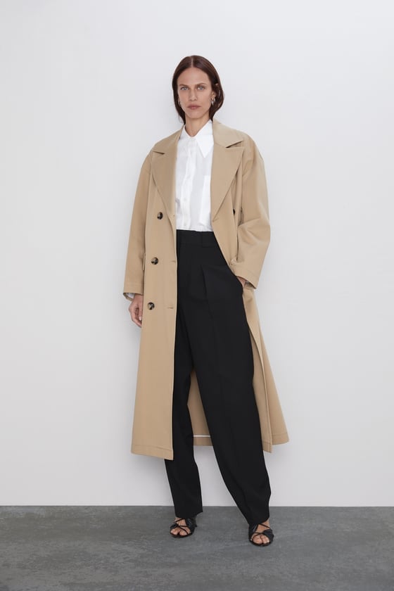 Zara Pants With Darts