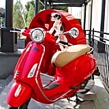 Tinkerbelle the Dog in Rome | POPSUGAR Pets - 160 x 160 jpeg 11kB