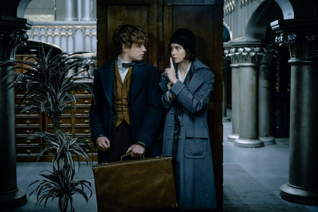 Fantastic Beasts and Where to Find Them Pictures