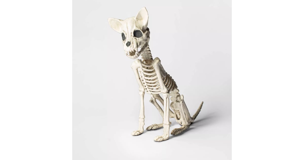 Hyde & Eek! Boutique Chihuahua Skeleton Halloween Decorative Prop Dog