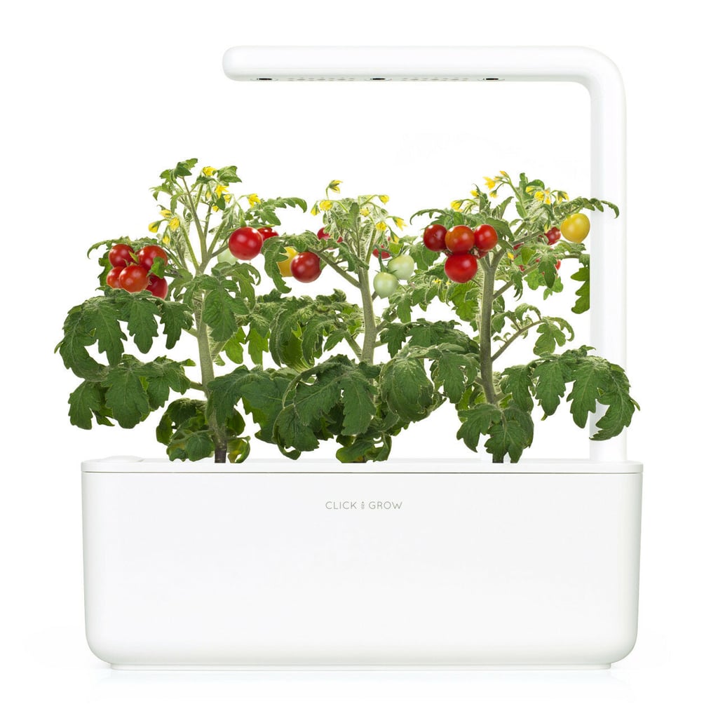 Click&Grow Smart Garden Hydroponic Unit