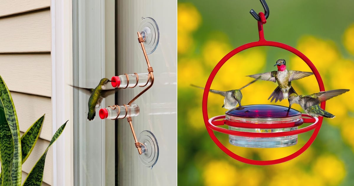 Modern Hummingbird Feeders 2020 POPSUGAR Home