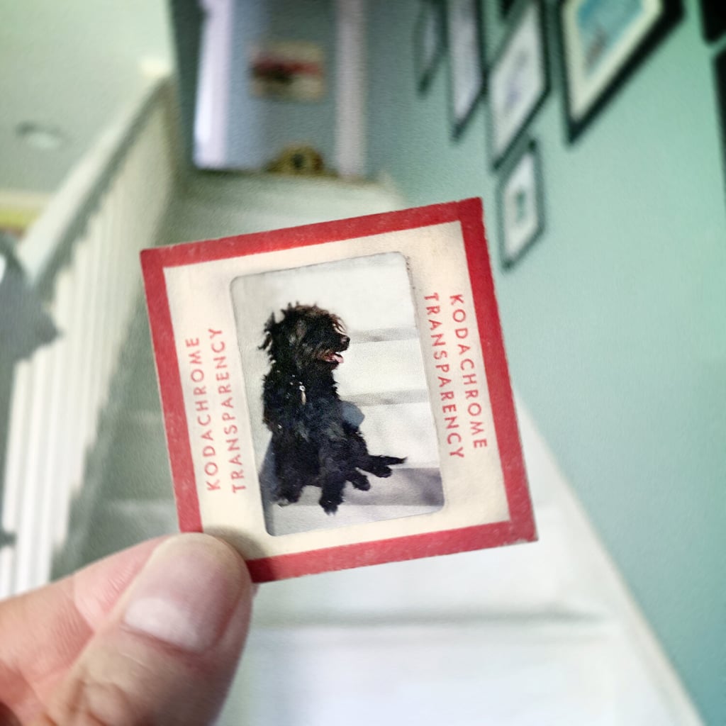 Photographer Uses Dad's Slides in a Photo Tribute to Parents