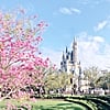 24 Reasons a runDisney Race Should Be Your First Half-Marathon