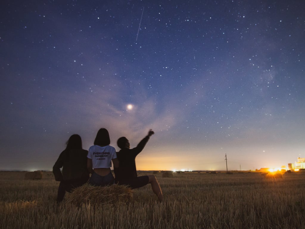 凝视着星星。