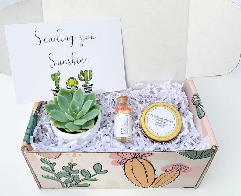 Sending You Sunshine Succulent Gift Box