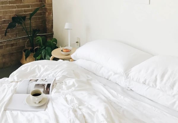 New Sheets: Cozy Earth Bamboo Sheet Set