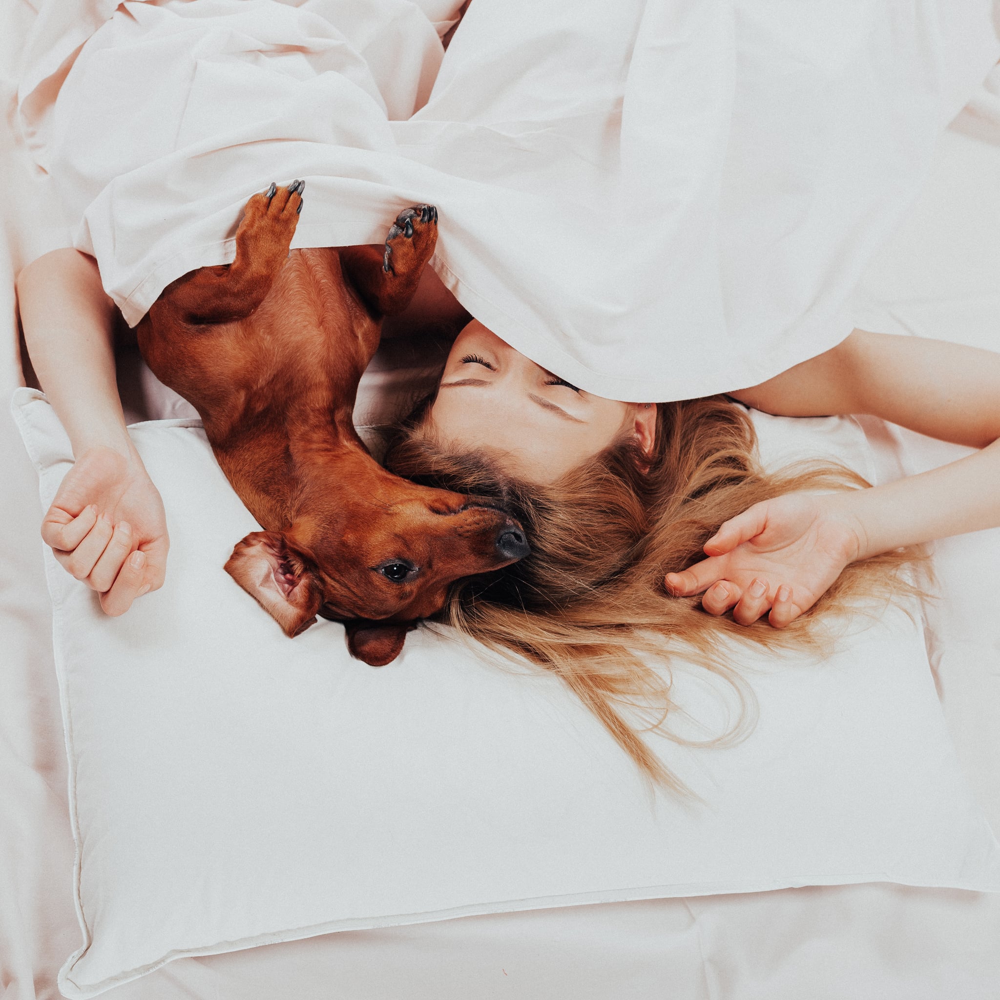 How Can I Keep My Dogs Bed Clean