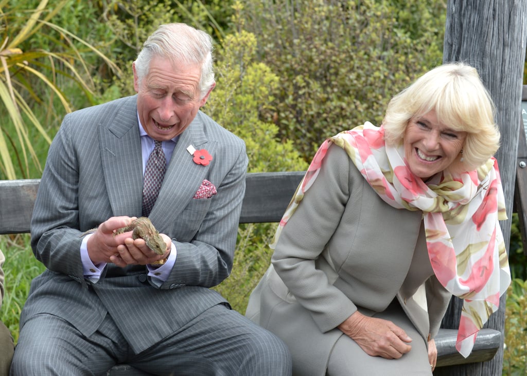 Charles and Camilla couldn't keep a straight face when a bee flew up the prince's sleeve in New Zealand in November 2015.
