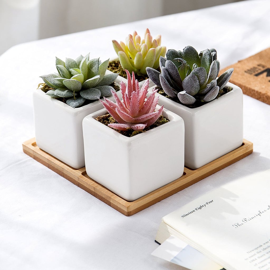 Four-Piece Faux Succulents Ceramic Planter Set With Bamboo Tray