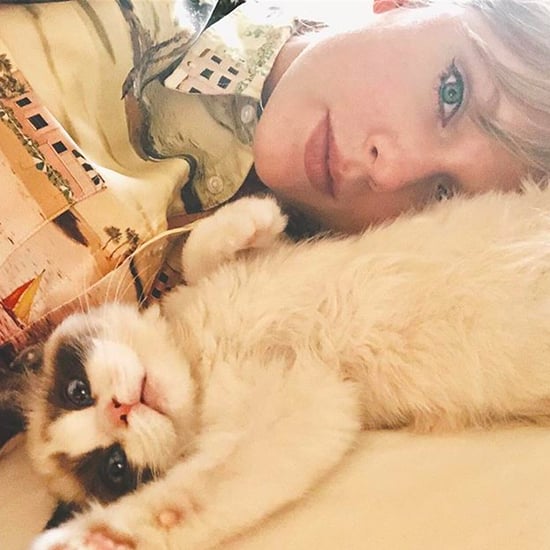 How Many Cats Does Taylor Swift Have?