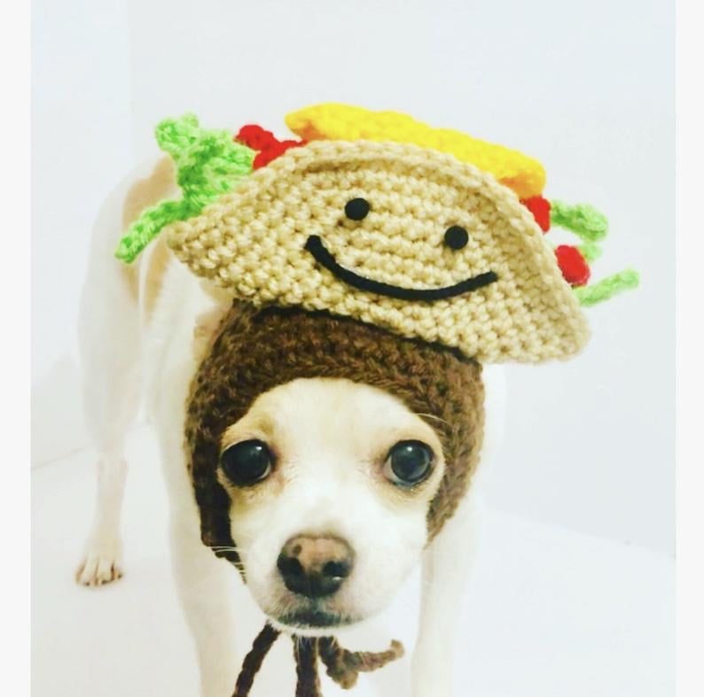 Taco Pet Costume